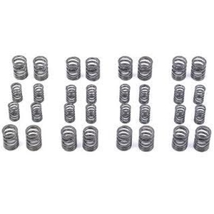 Toda Racing Dual Valve Springs - Acura/Honda B-Series Vtec