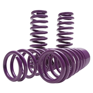 D2 Racing SP Lowering Springs - Infiniti G25 (2011-2012)