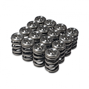  Skunk2 Alpha Series Honda/Acura H Series Valve Spring and Titanium Retainer Kit