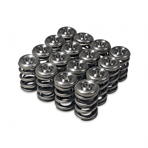 Skunk2 Alpha Series Honda/Acura H Series Valve Spring and Titanium Retainer Kit