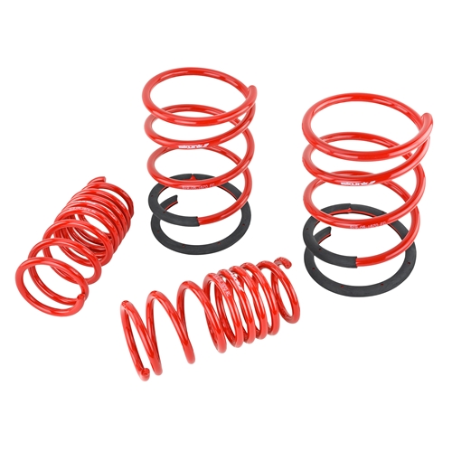 Lowering Springs / Set of 4 / Acura / RSX 2002-2004